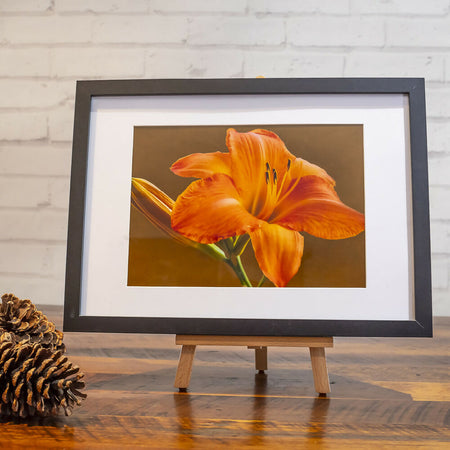 Framed Prints - Original photography artworks - wall art