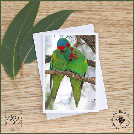 Blank Greeting Card - Musk Lorikeets Photo - Valentines Day