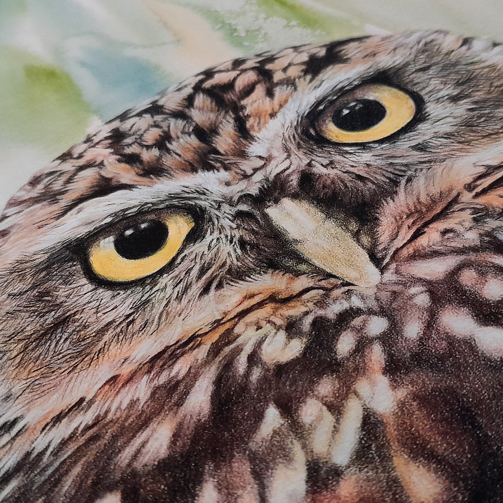 Owl | Fine Art Print "Eyes On You"  | Wall Art