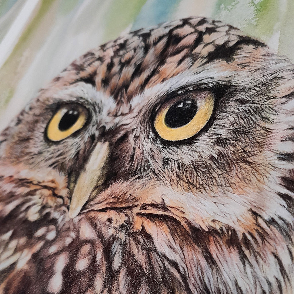 Owl | Fine Art Print "Eyes On You"  | Wall Art