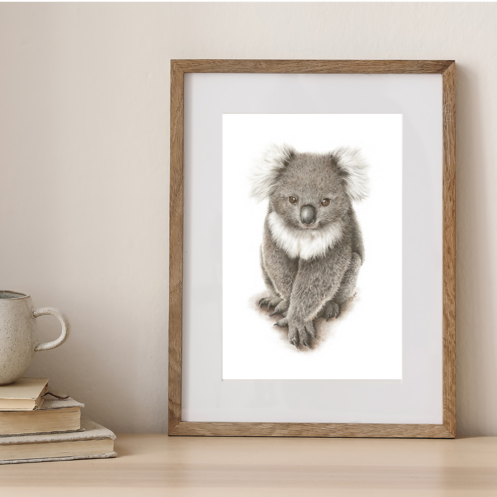 Australian-artist-illustration-wall-art-koala-framed