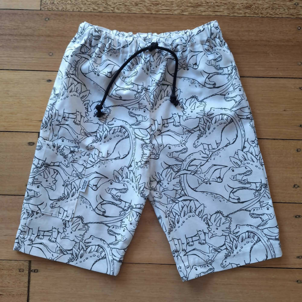 Boys Dinosaur Print Shorts with Pocket | Size 2, or 6 years