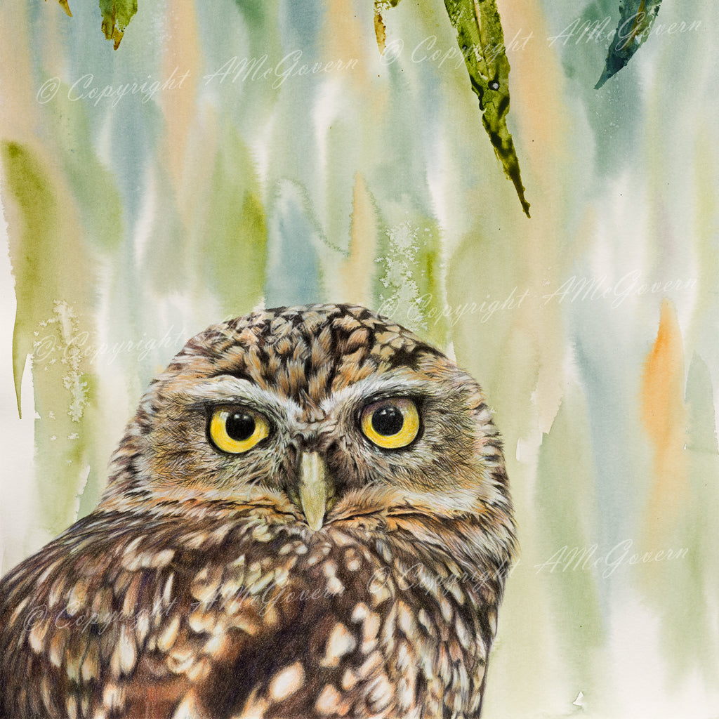 Owl | Fine Art Print "Eyes On You"  | Wall Art