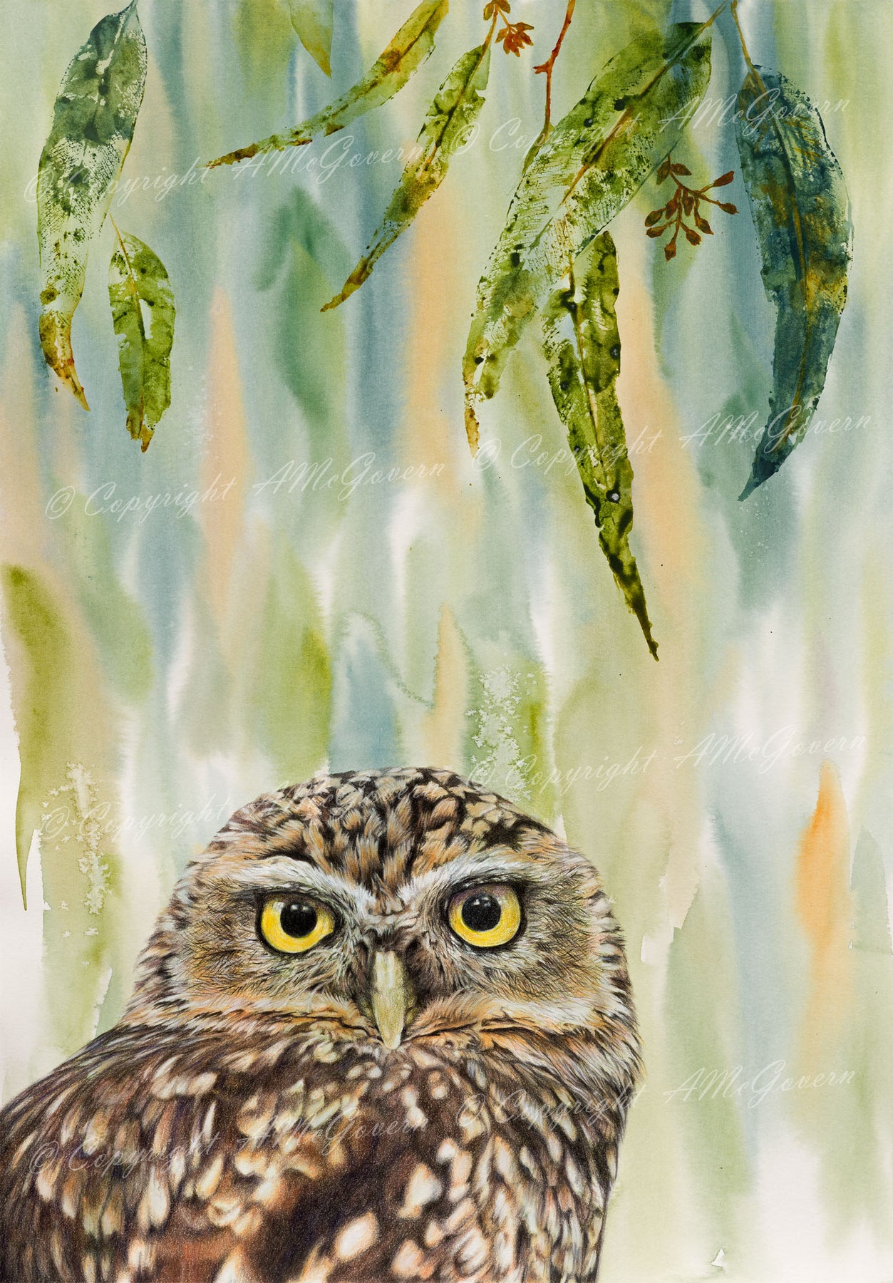 Owl | Fine Art Print "Eyes On You"  | Wall Art