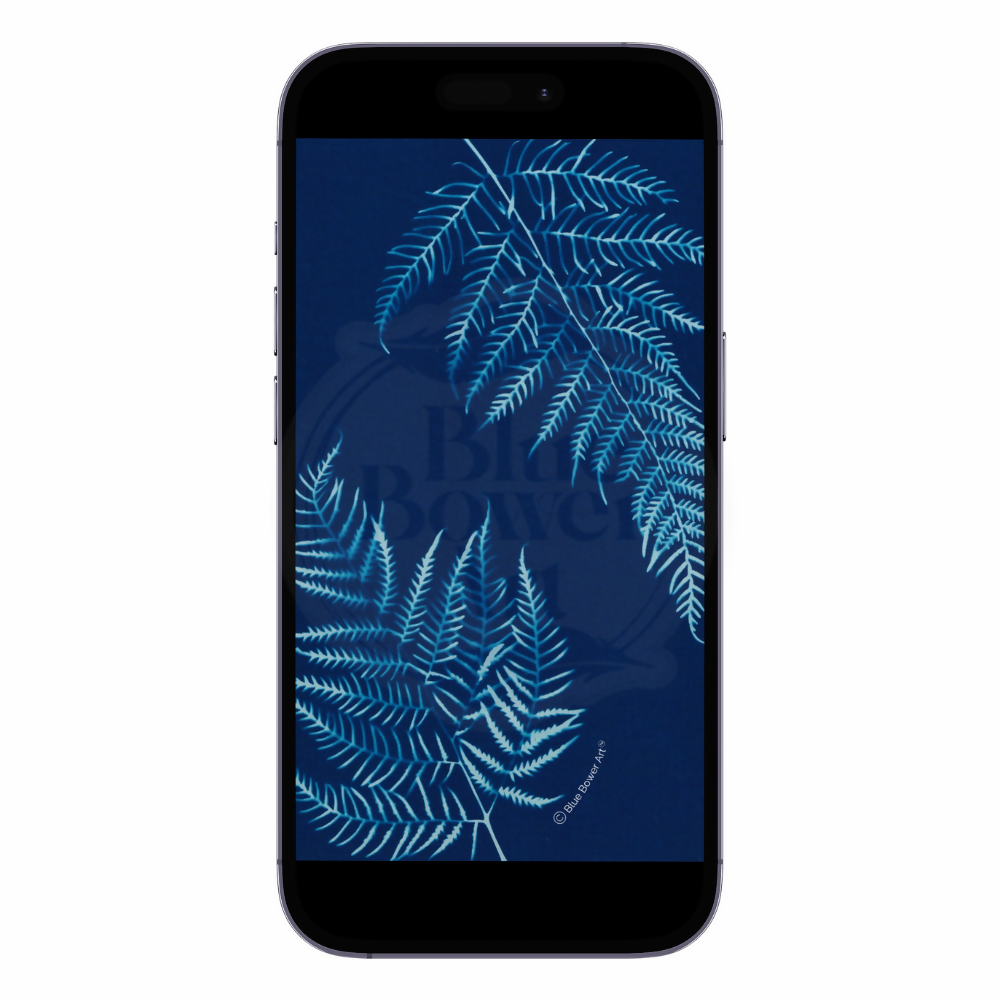 Fern-Cyanotype-Art-Phone-Wallpaper-Background