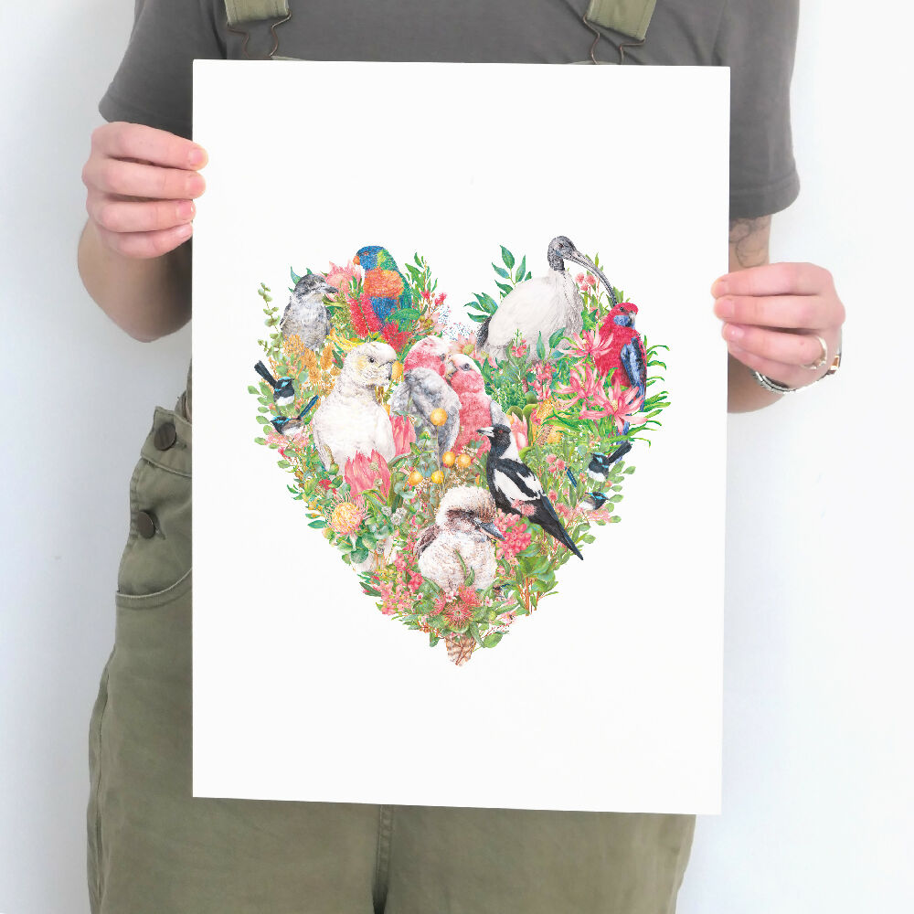 A3 art print of common native Australian birds and flowers, illustrated by Australian artist Kayla Reay.