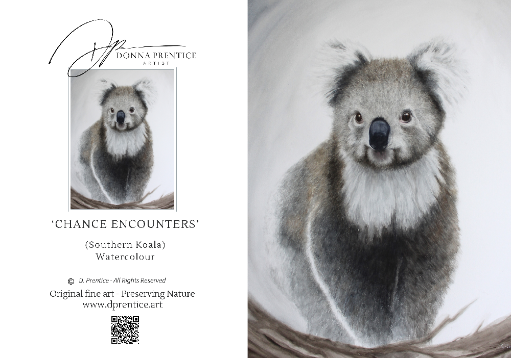 ‘chance Encounters greeting card