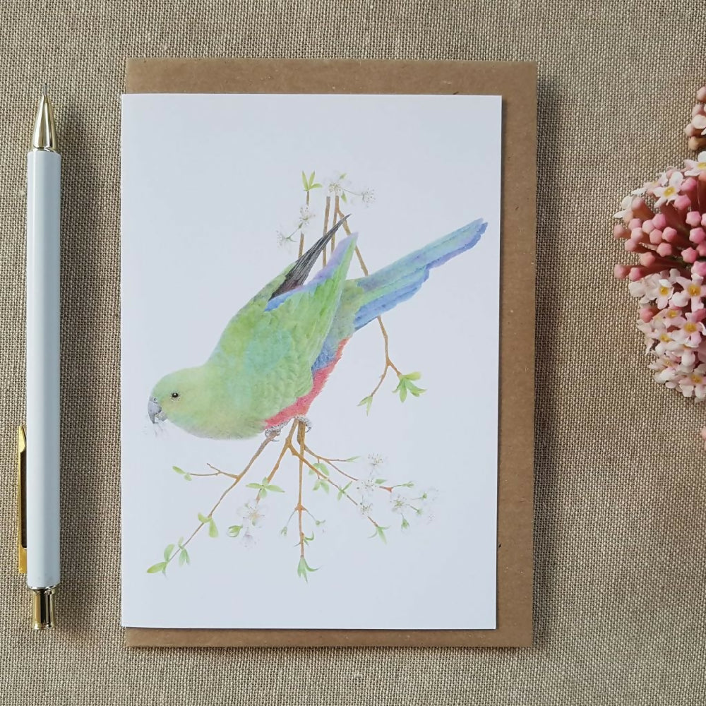 kingparrotgreetingcard