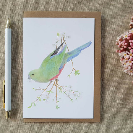 King parrot and blossom greeting card. Blank inside.