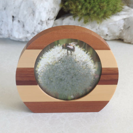 Small Rounded Photo Frame- Myrtle, Huon Pine & Blackwood