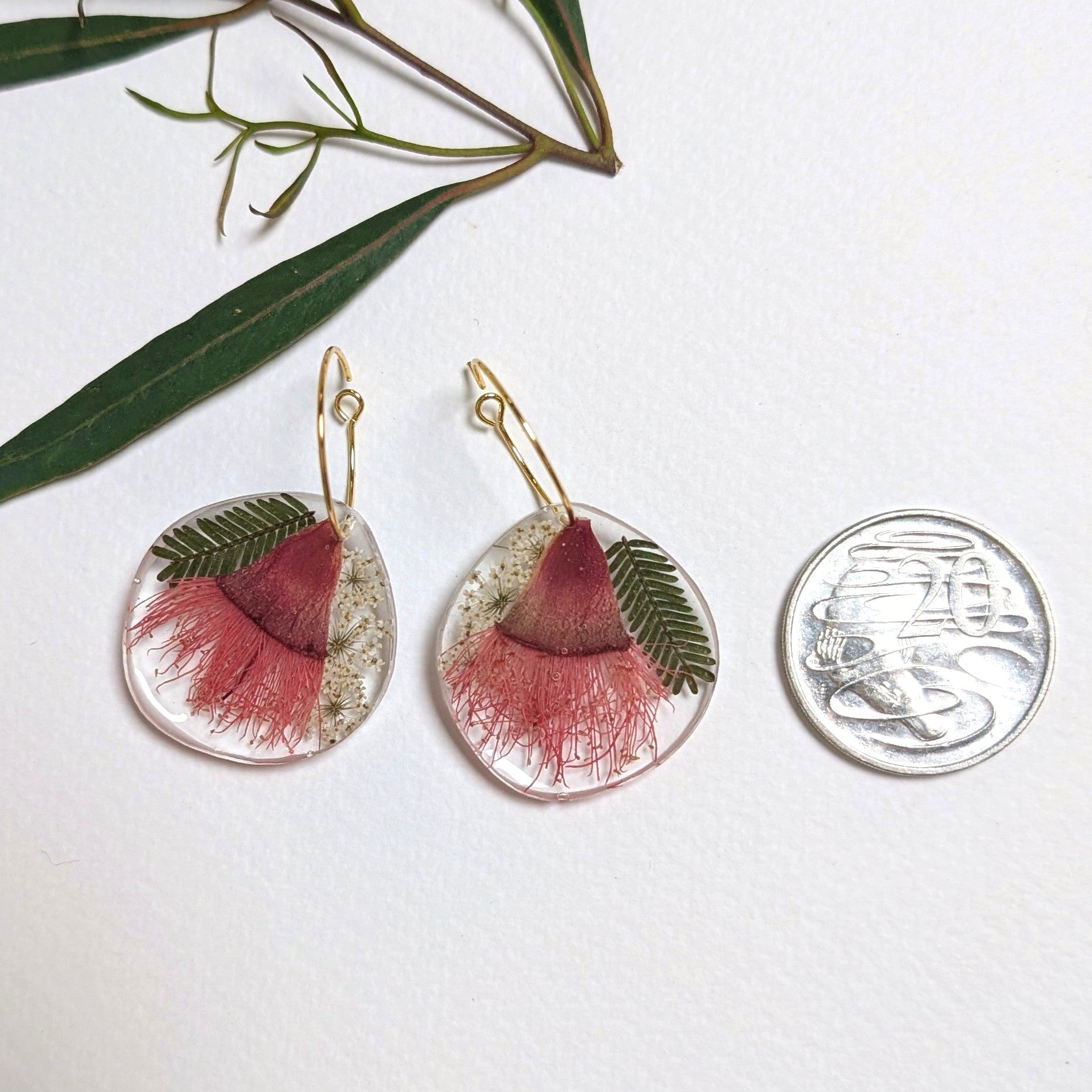 Salmon pink flowering gum earrings