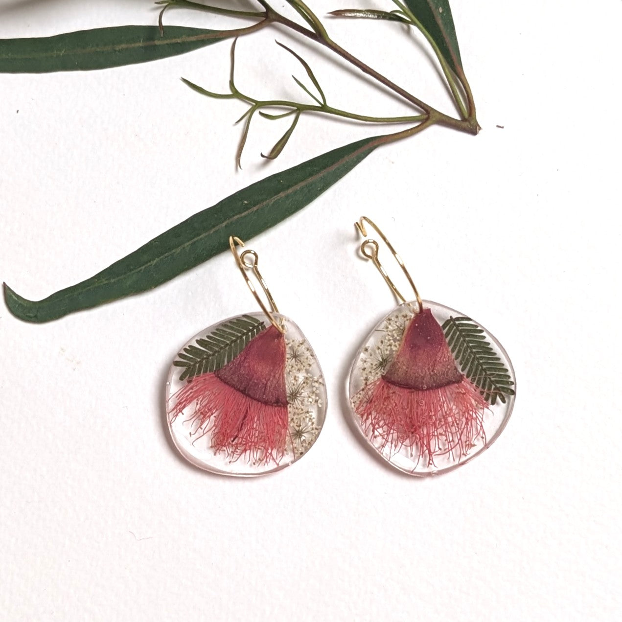 Salmon pink flowering gum earrings