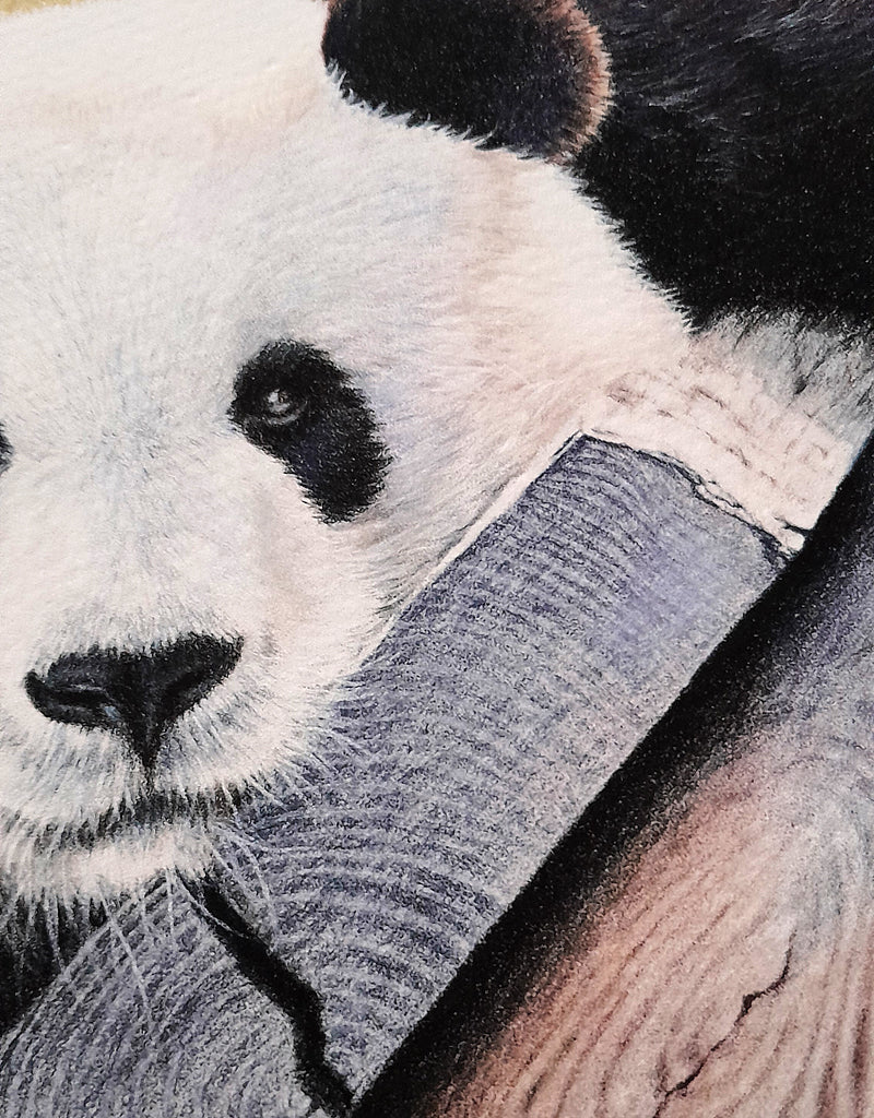 Giant Panda | Art Print "Lazy Day" | Wall Art