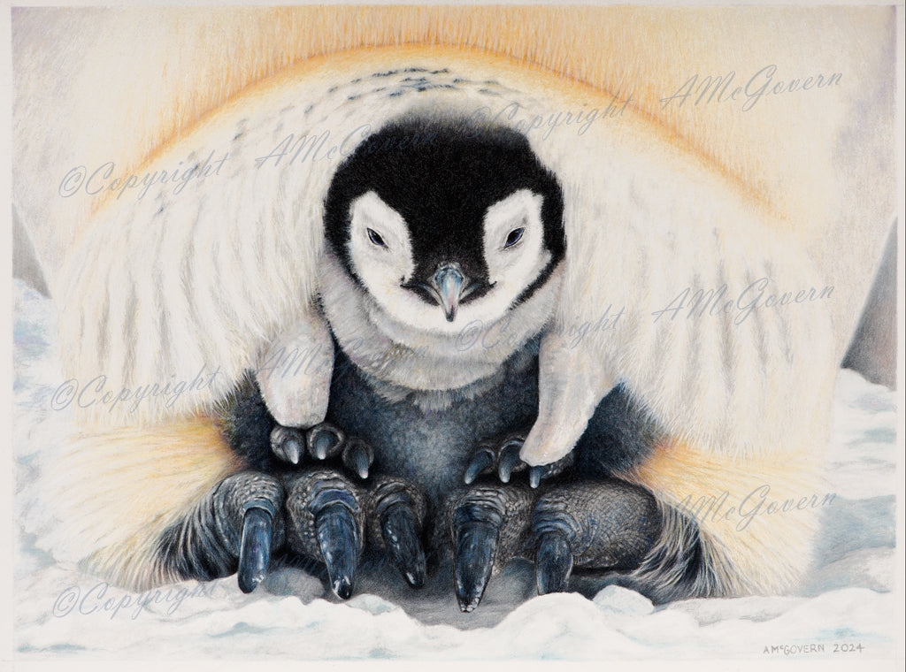 Penguin | Art Print "Out of the Cold" | Wall Art