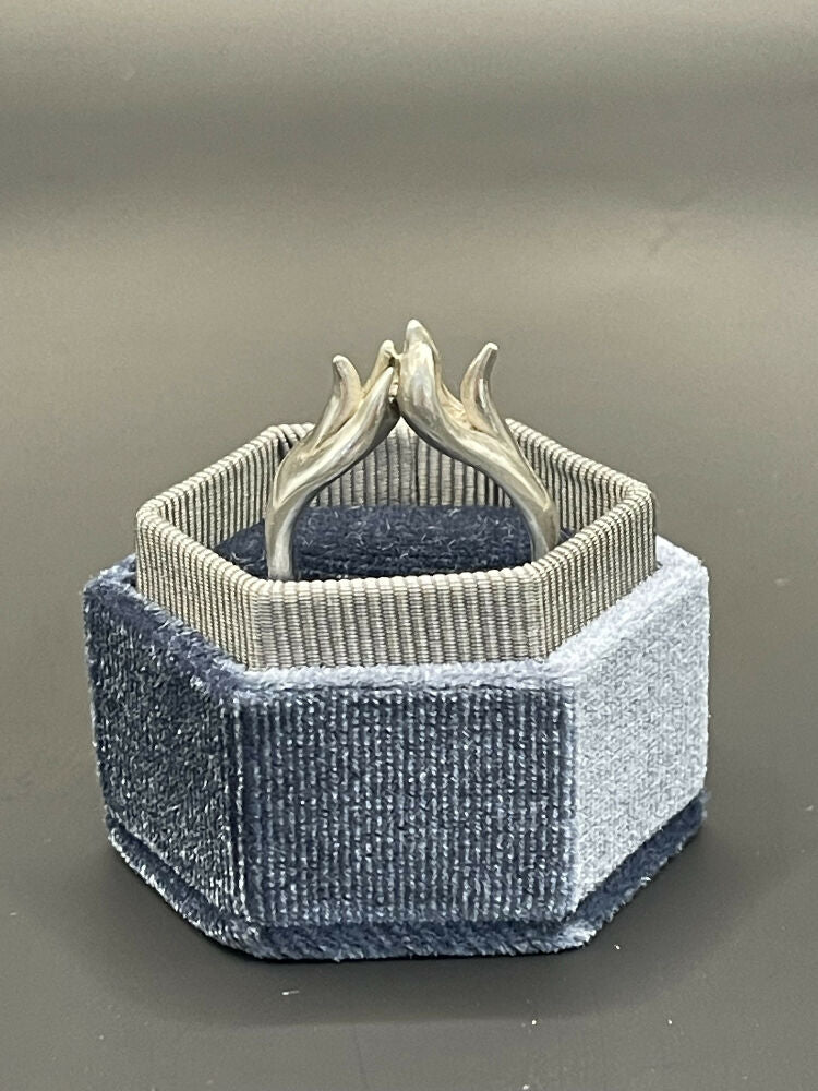 ring1