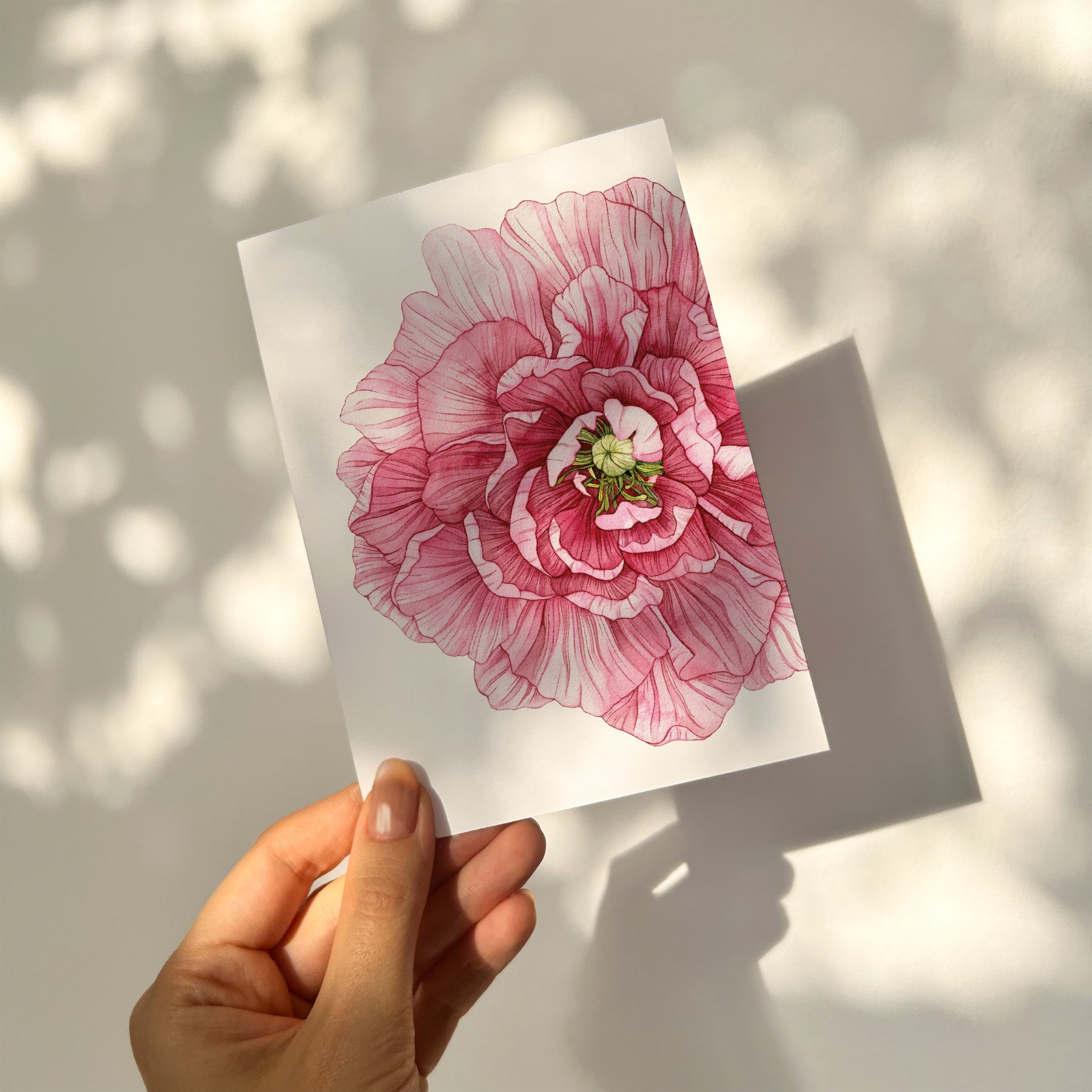Pink Peony Greetings Card