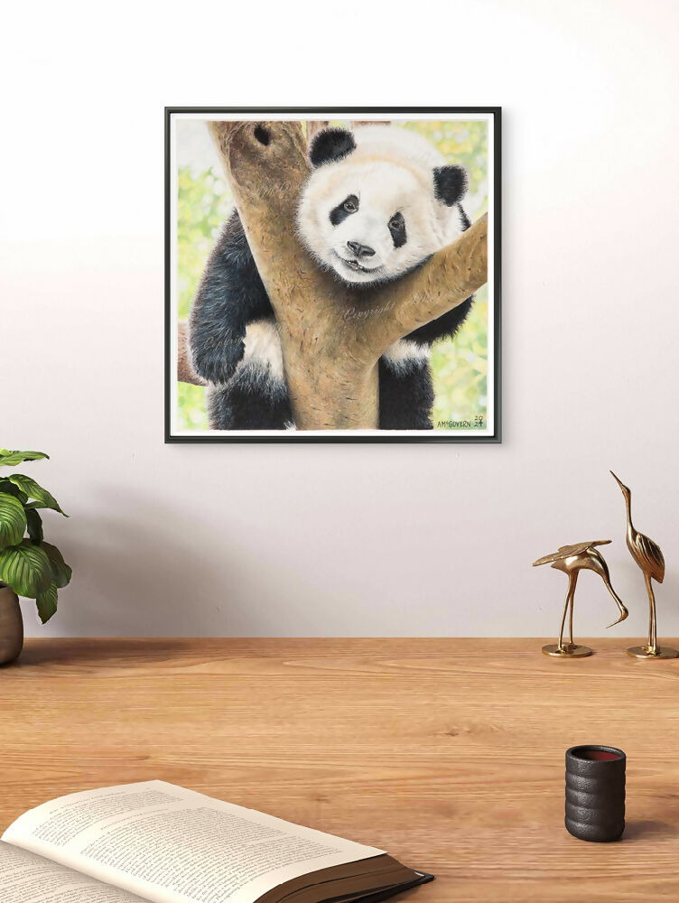 PANDA-1024x770-WEB