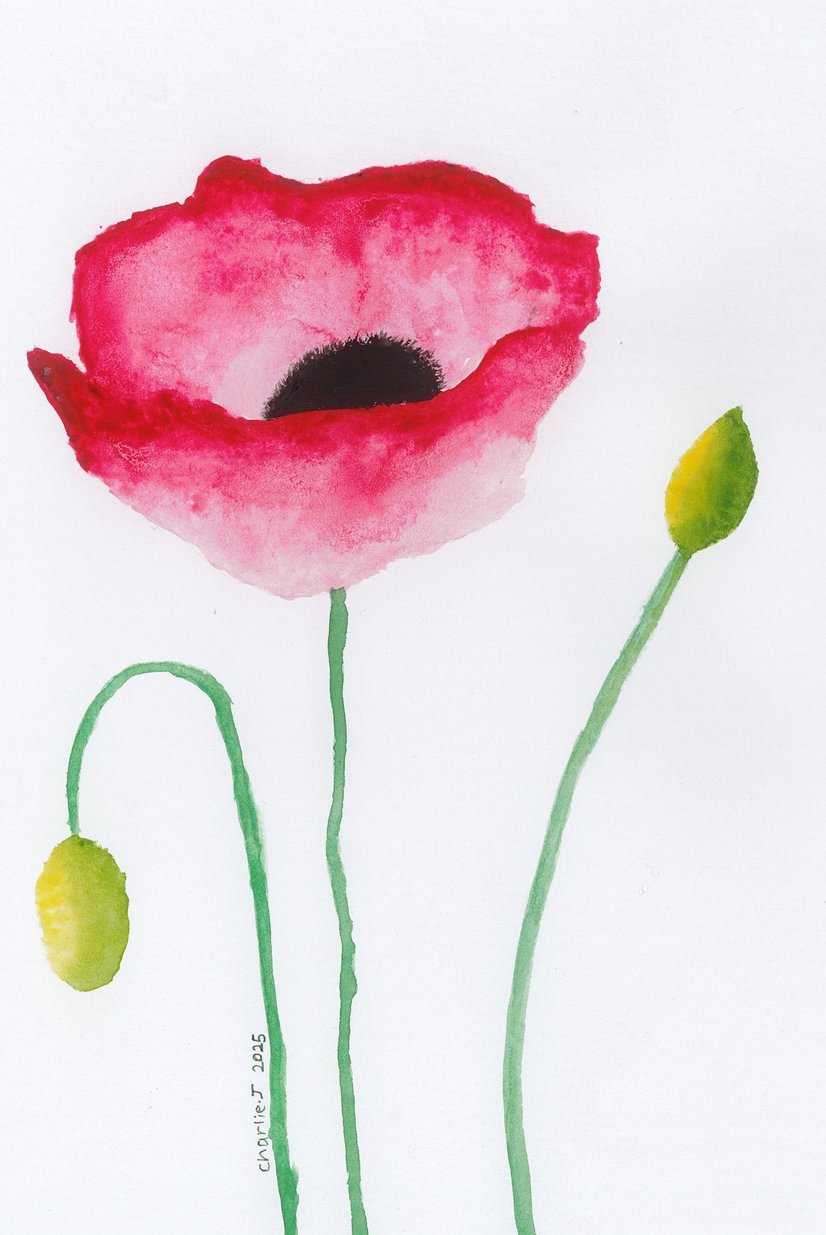 Poppy - Original Art Greeting Card