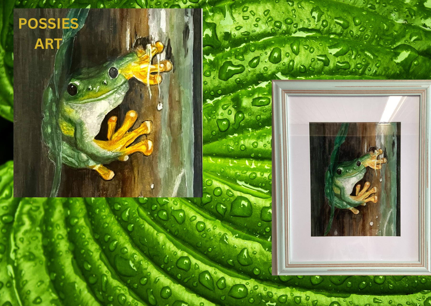 Green frog in a rainforest