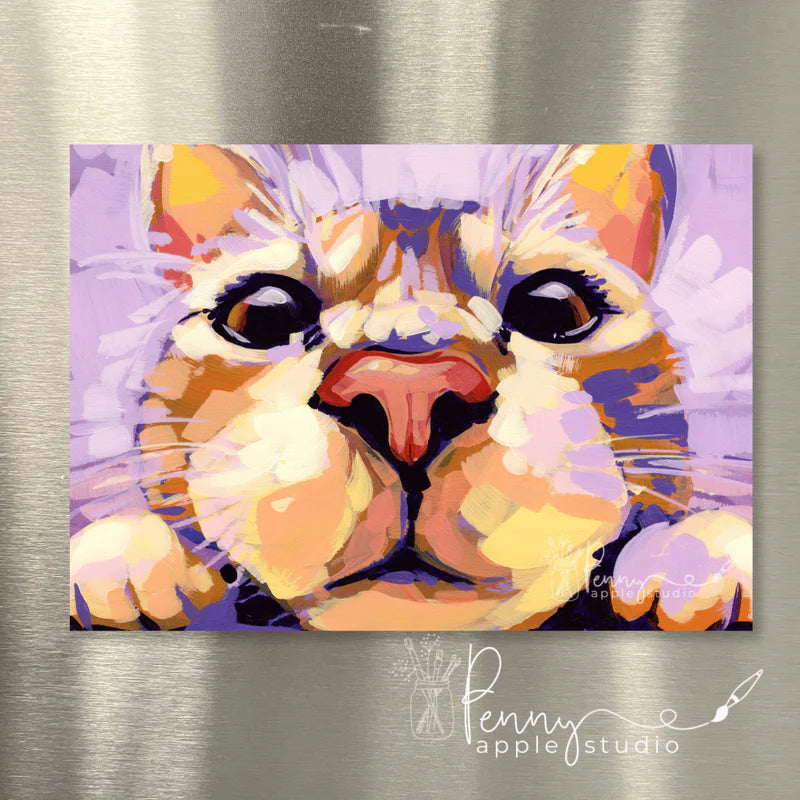(1) Kitty Cat Fridge Magnet – Choose your favourite!