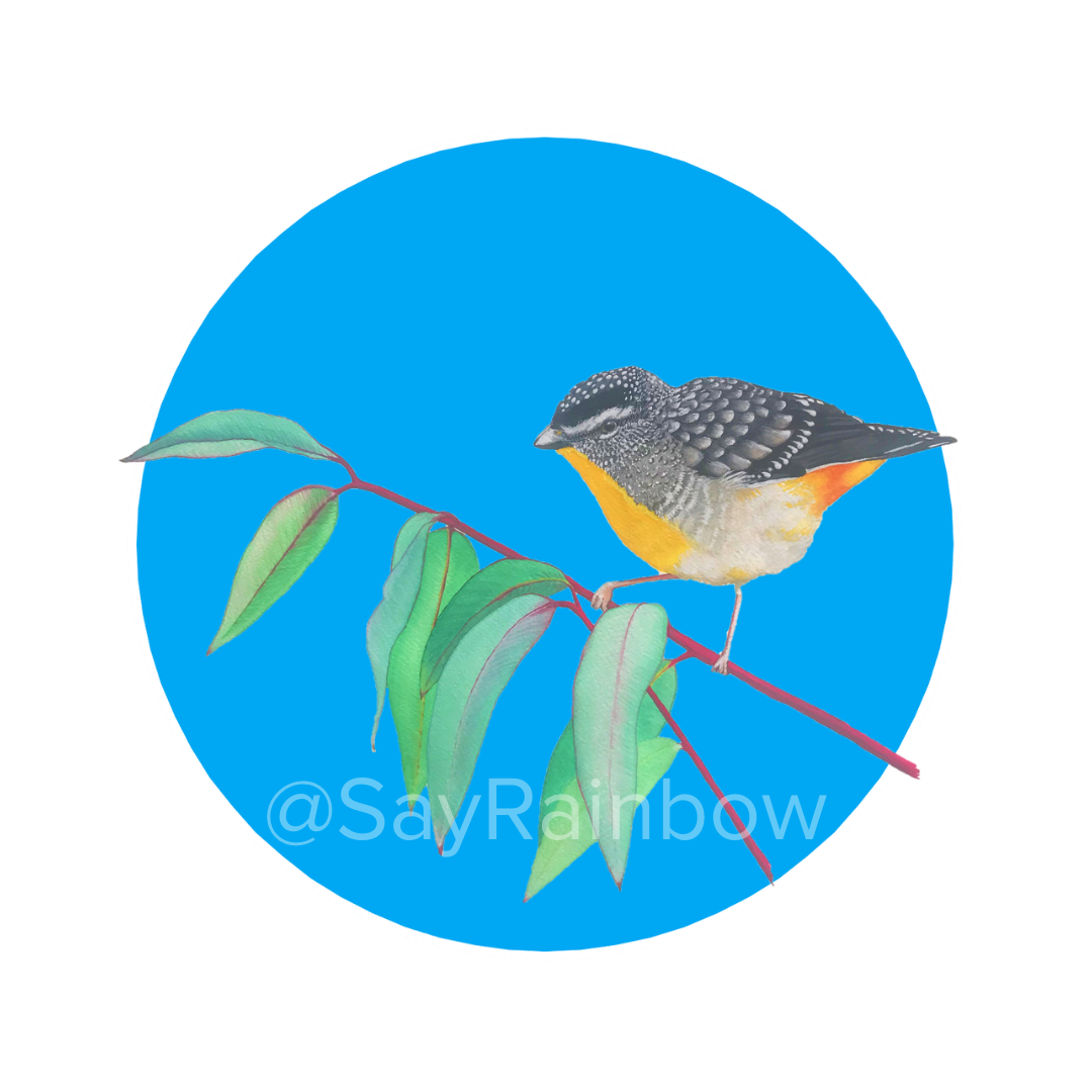 Australian Bird Greeting Cards