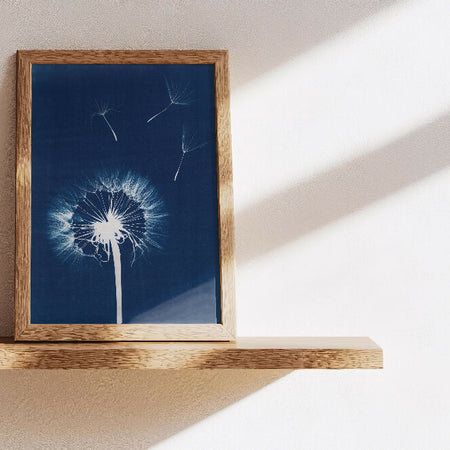 Dandelion Wishes ~ Daisy Cyanotype Print ~ Eco-friendly ~