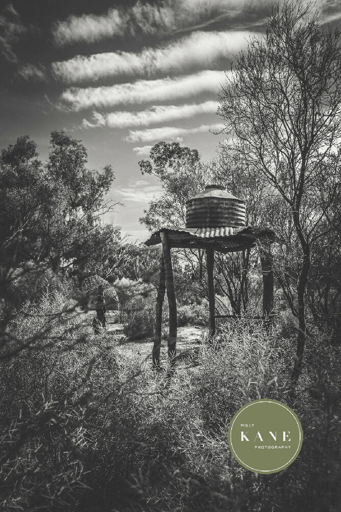 Rusty Bushland Structures #2