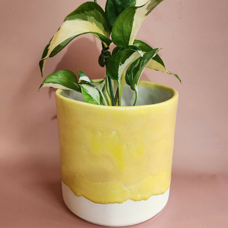 Handmade Ceramic Cover Pot - Yellow Glaze