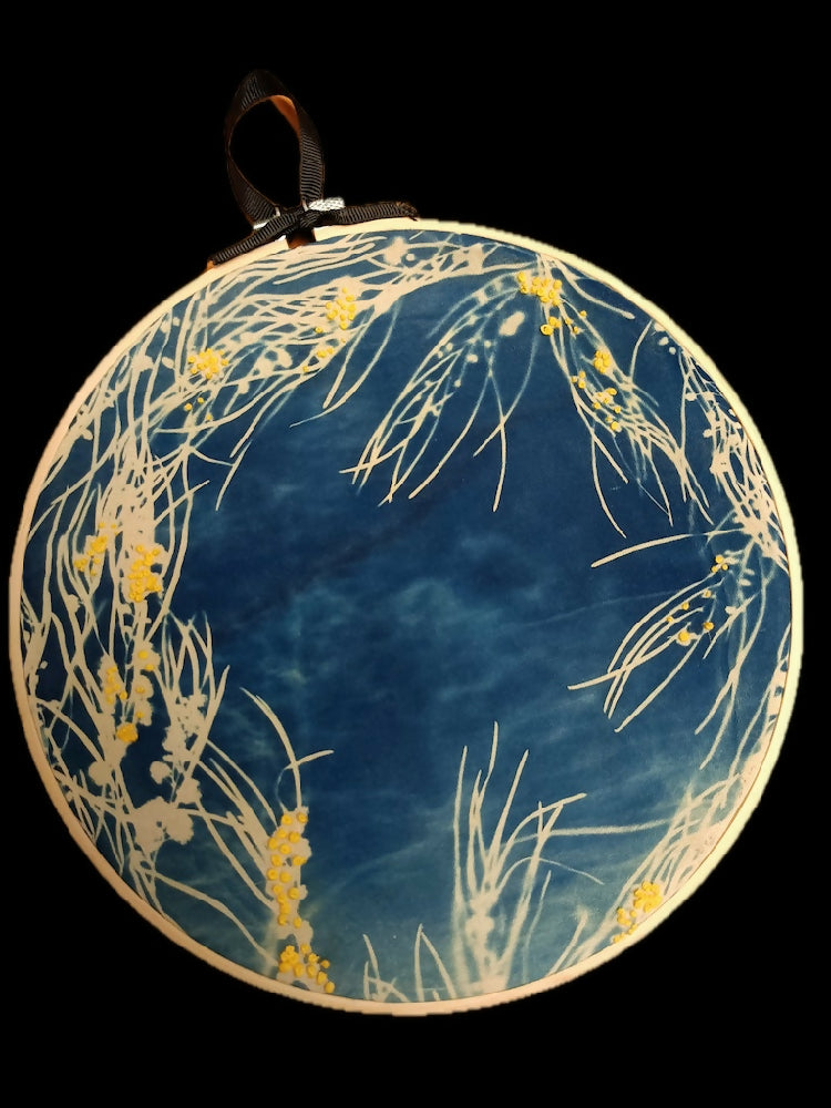 Cyanotypes and hand embroideries in timber hoops various sizes