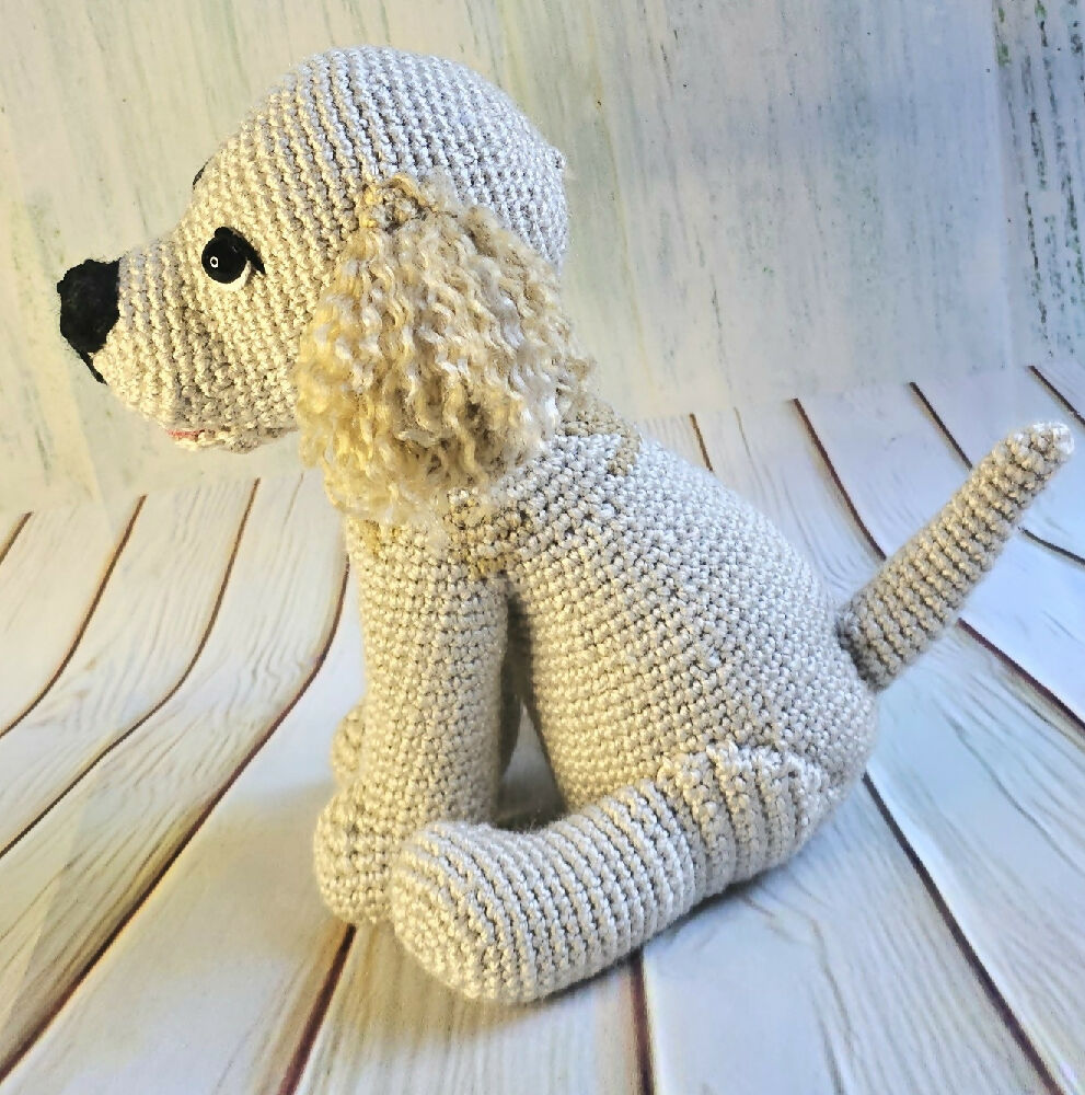 Dog 2