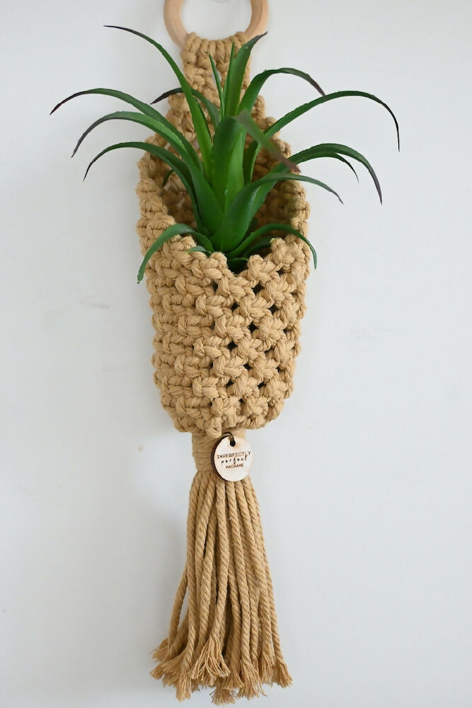 Macrame Faux Plant Holder/Air plant Pod