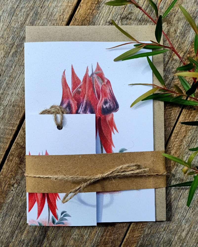 Blank Greeting Cards & Gift Tags Pack - Australian Wildflowers