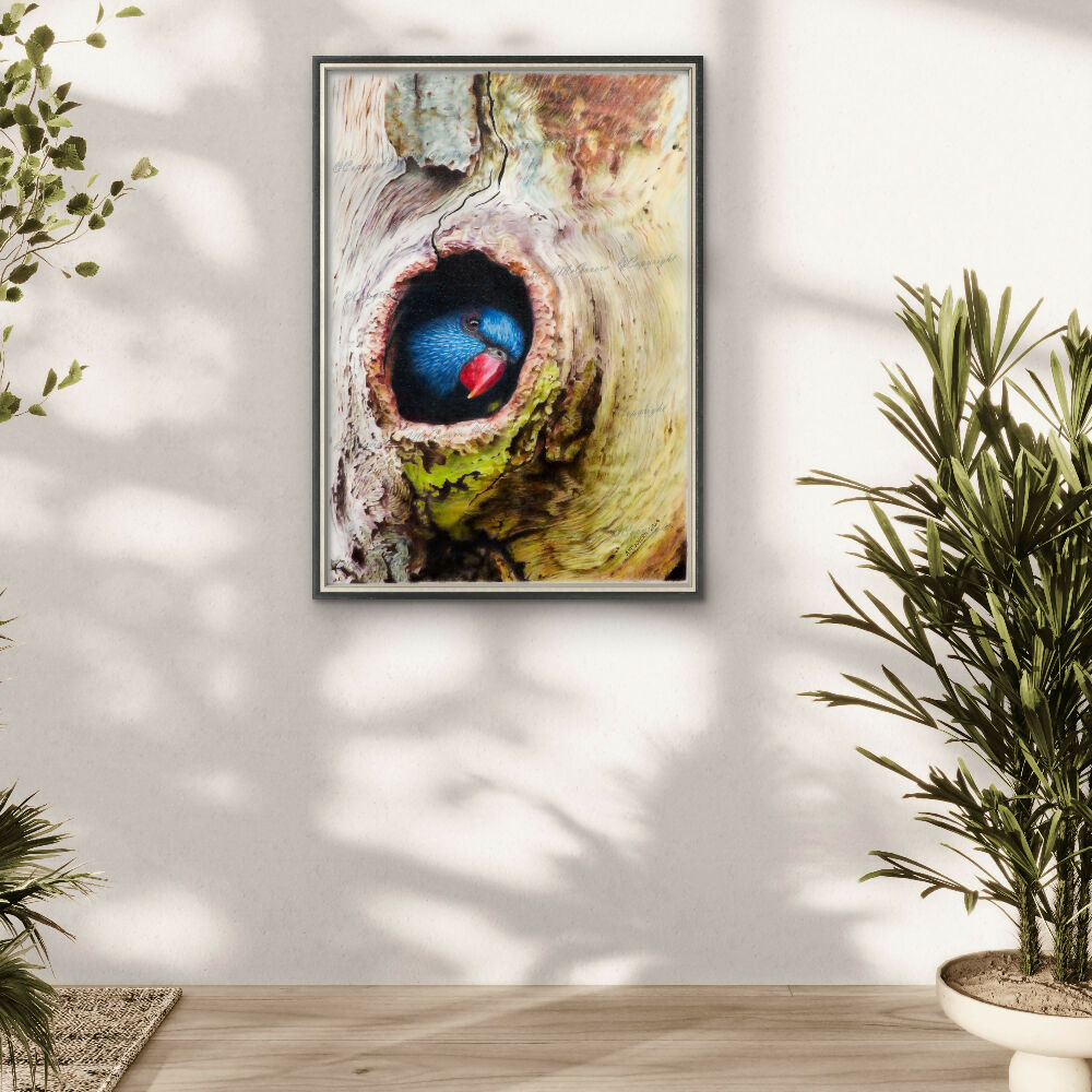Lorikeet-Insta-2000x2000-square4