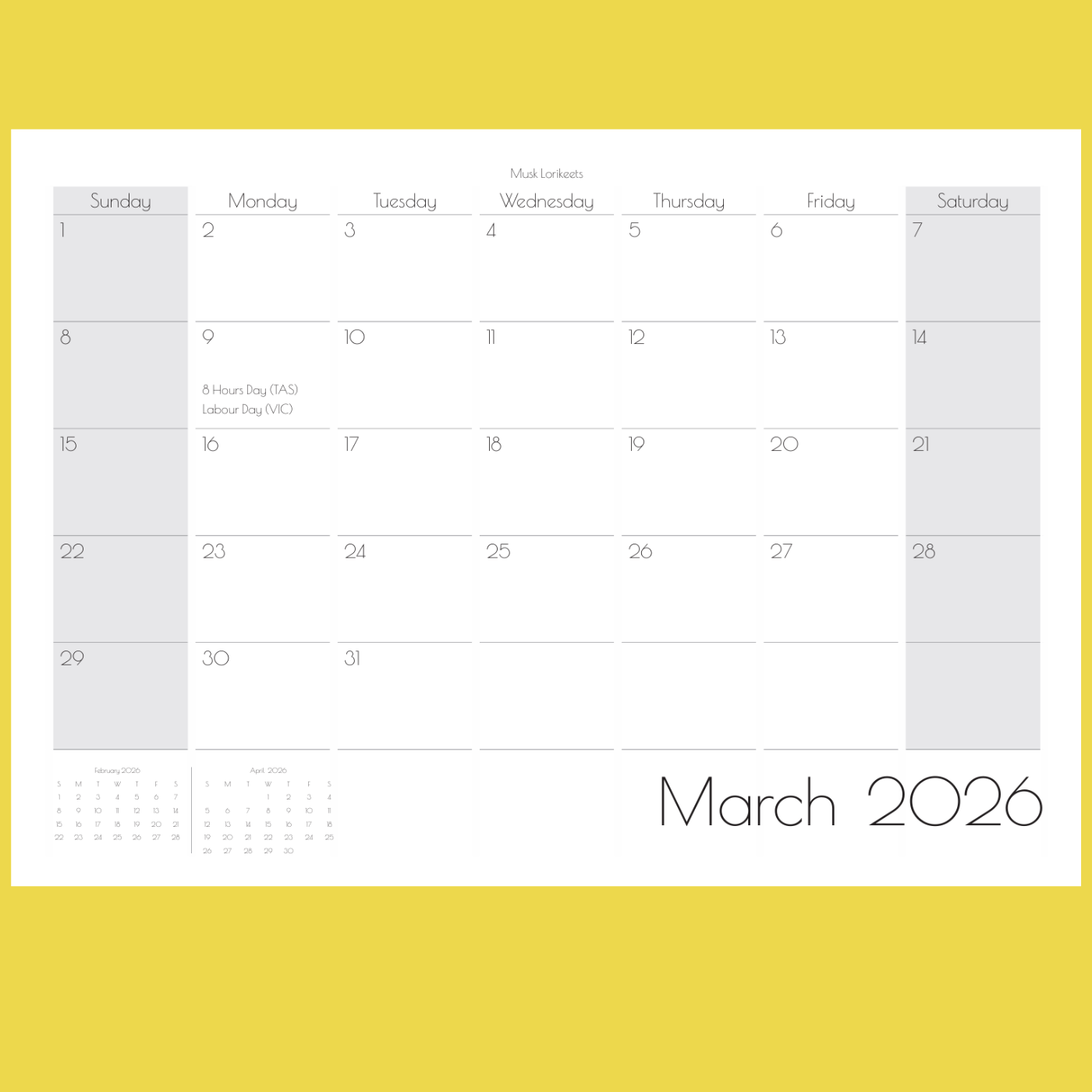 A Year of Birds 2026 - A4 Photographic Calendar NOW DISCOUNTED!!!