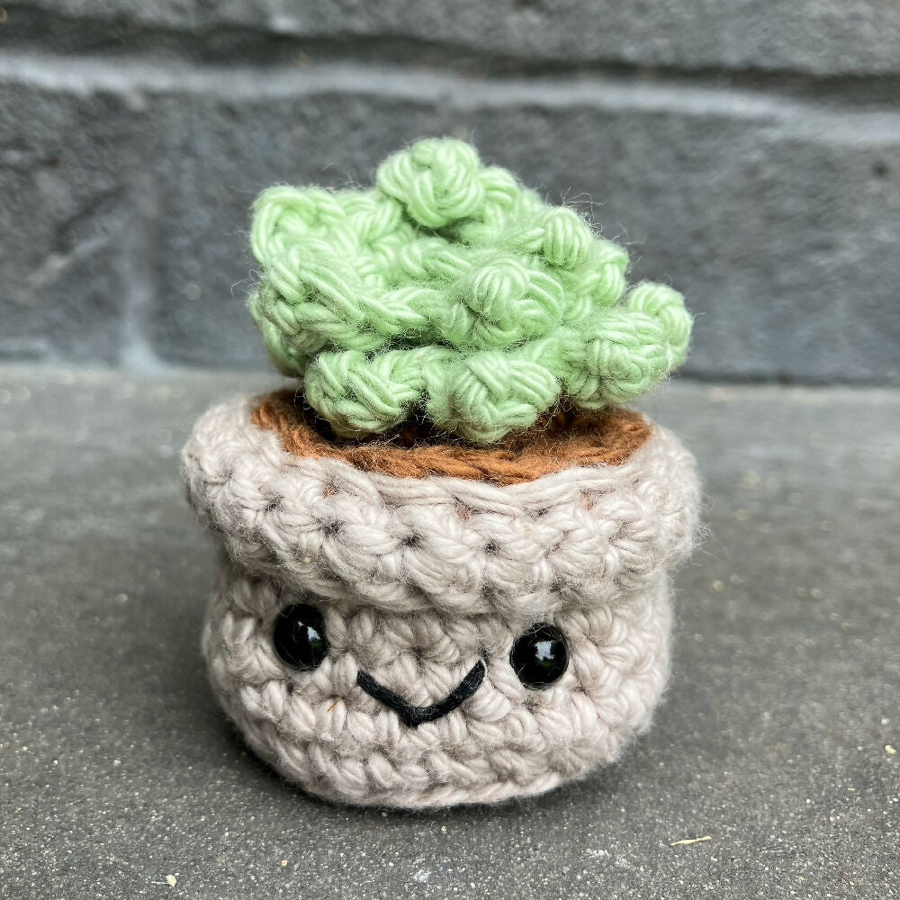 Crochet Succulent and Cacti Trio of Buddies