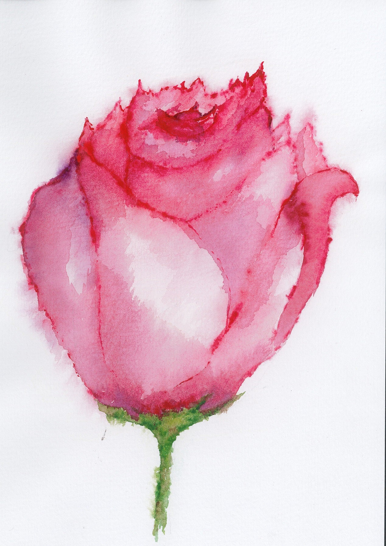 Rose - Original Art Greeting Card