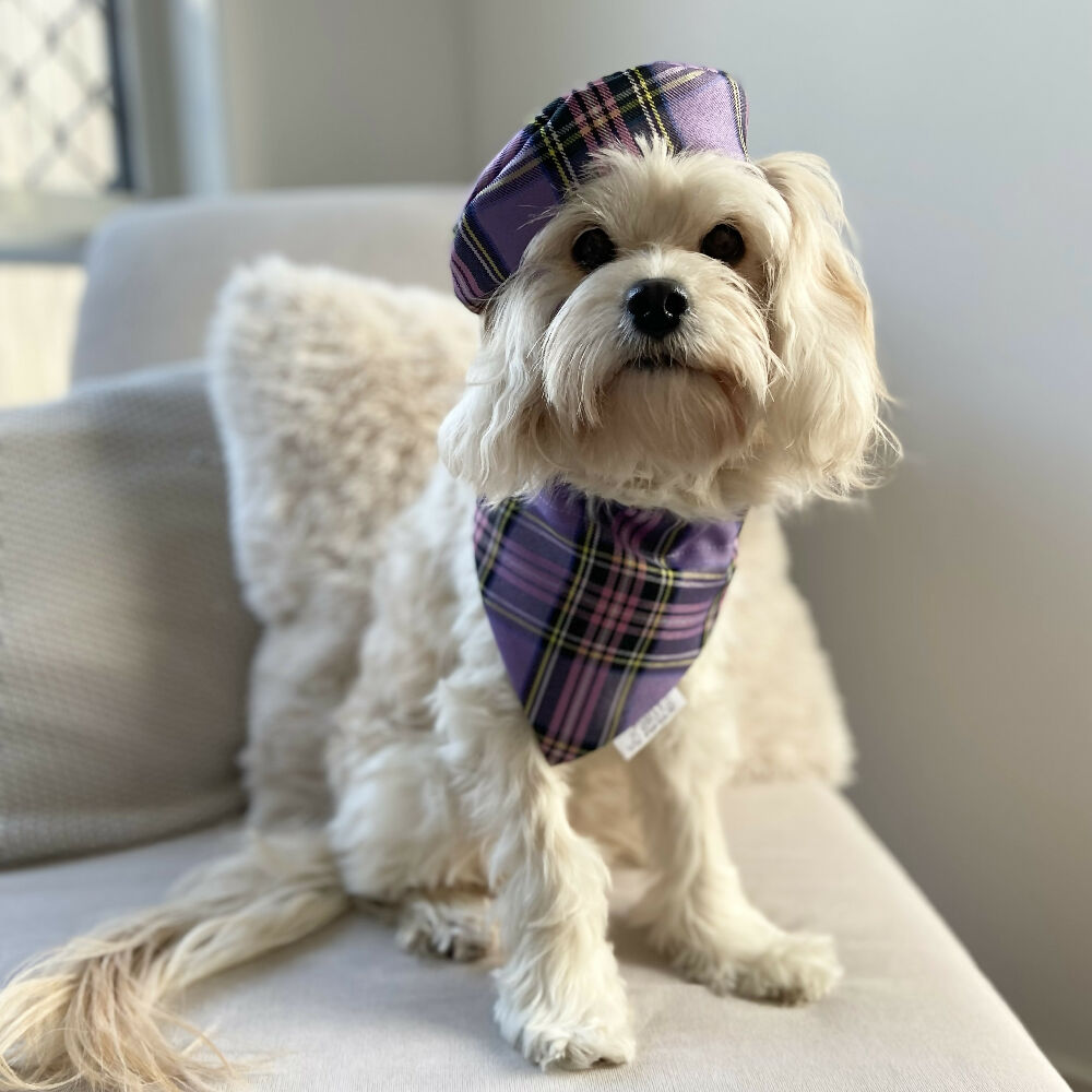 Purple Tartan Pet Bandana