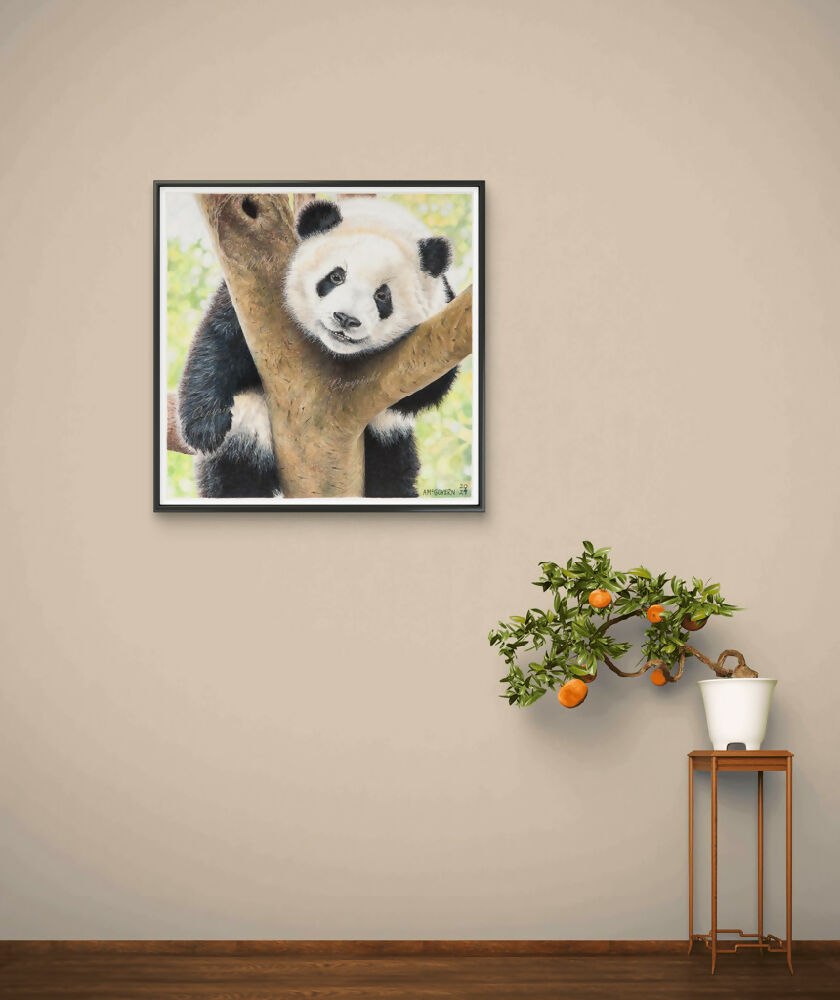 PANDA-1024x860-WEB