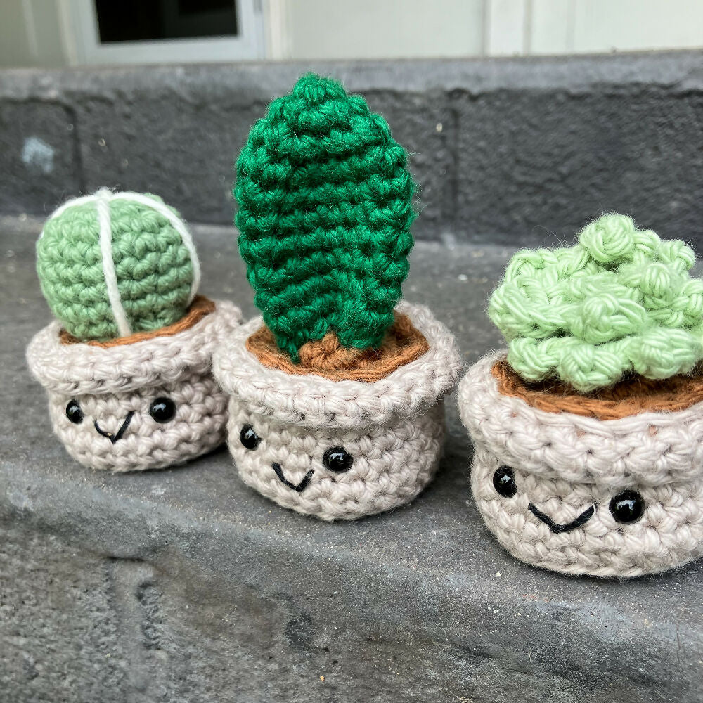 Crochet Succulent and Cacti Trio of Buddies