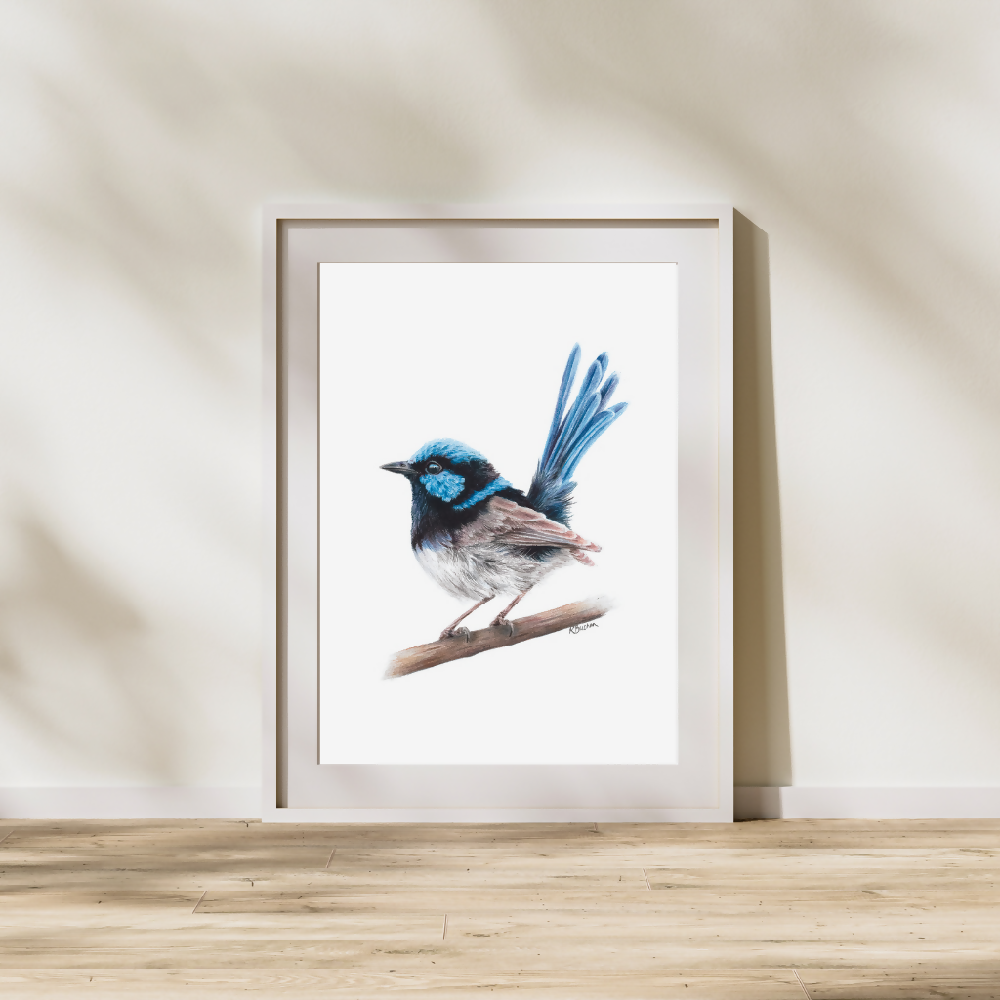 Australian-artist-wall-art-superb-fairy-wren-framed