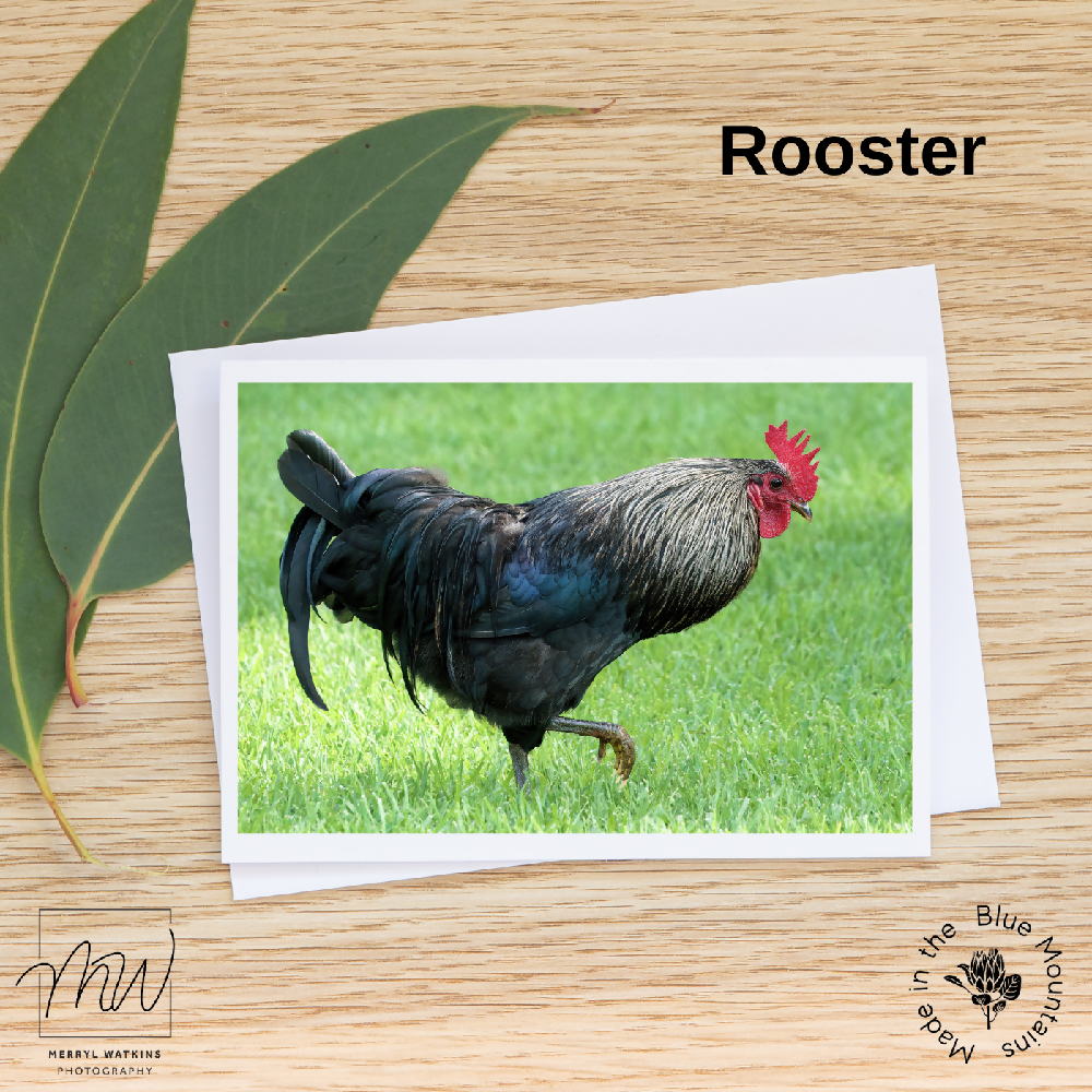 Blank Greeting Card - Rooster Photo