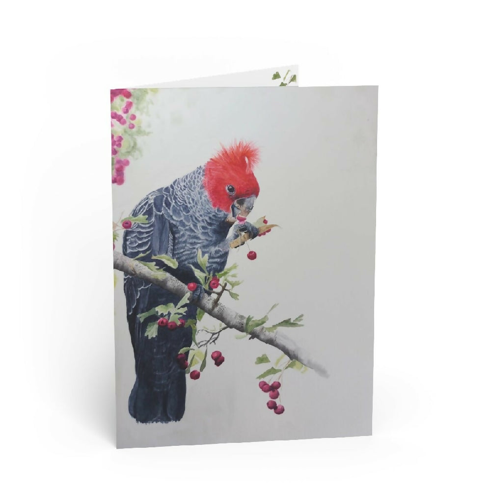 australian bird art greeting card