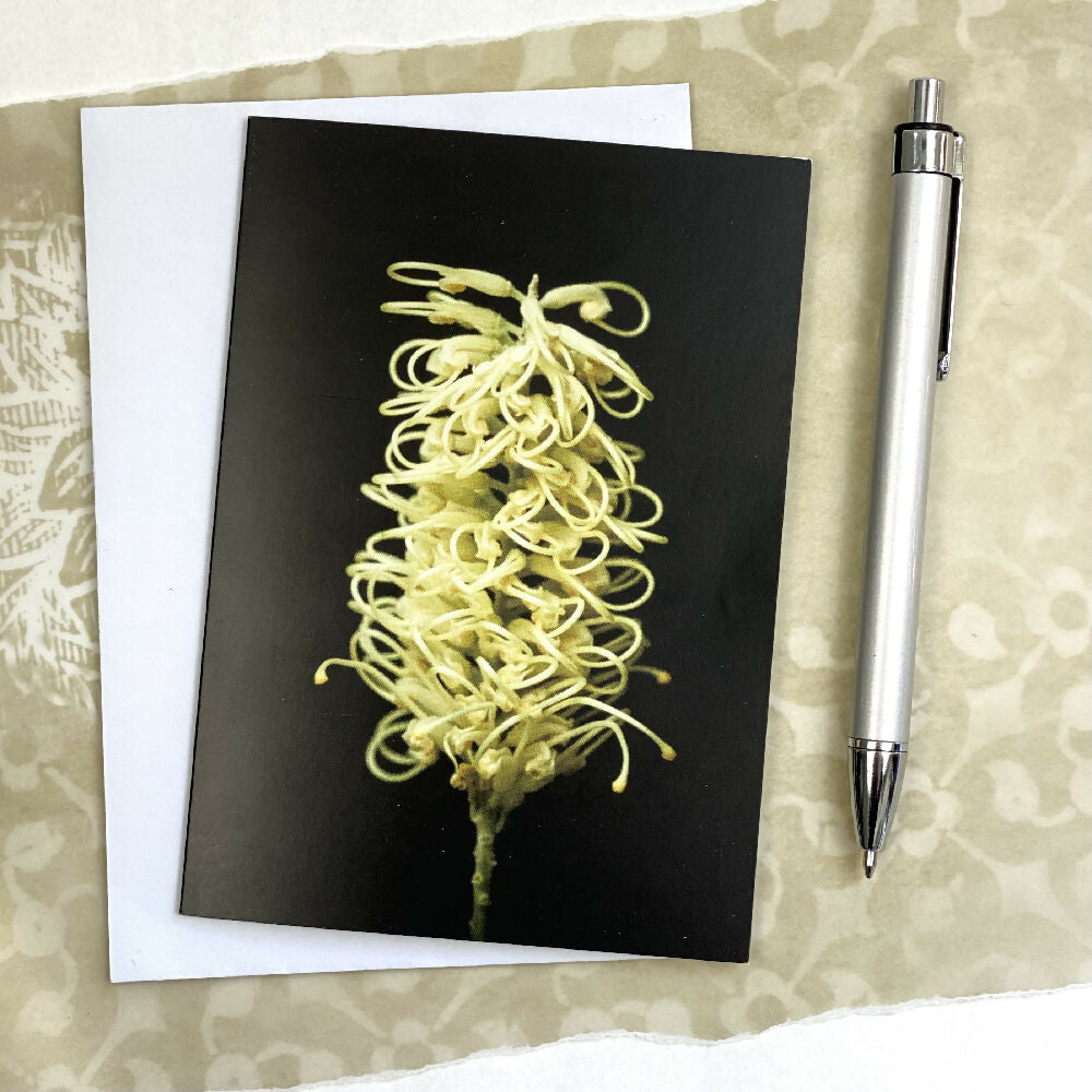 yellow grevillea blank greeting card