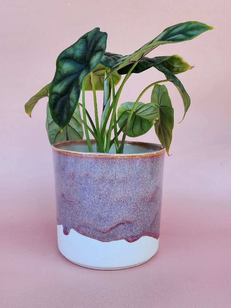 Handmade Ceramic Cover Pot - Pink Glaze