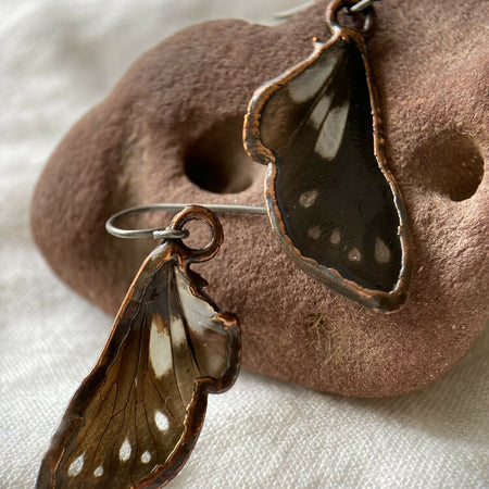 Resin and Cicada Wing Dangle Earrings- Hypoallergenic Ear Wires