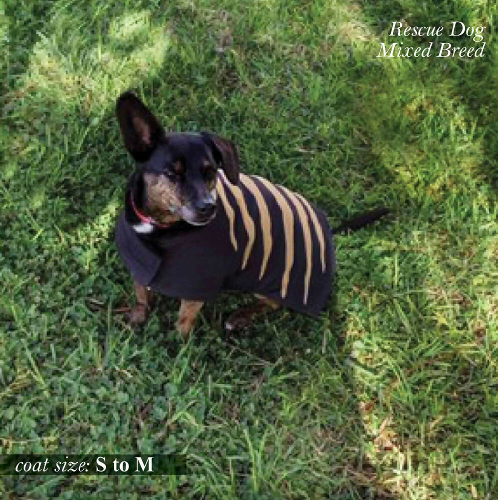 Boss Dog Black - 7 sizes - XS to L