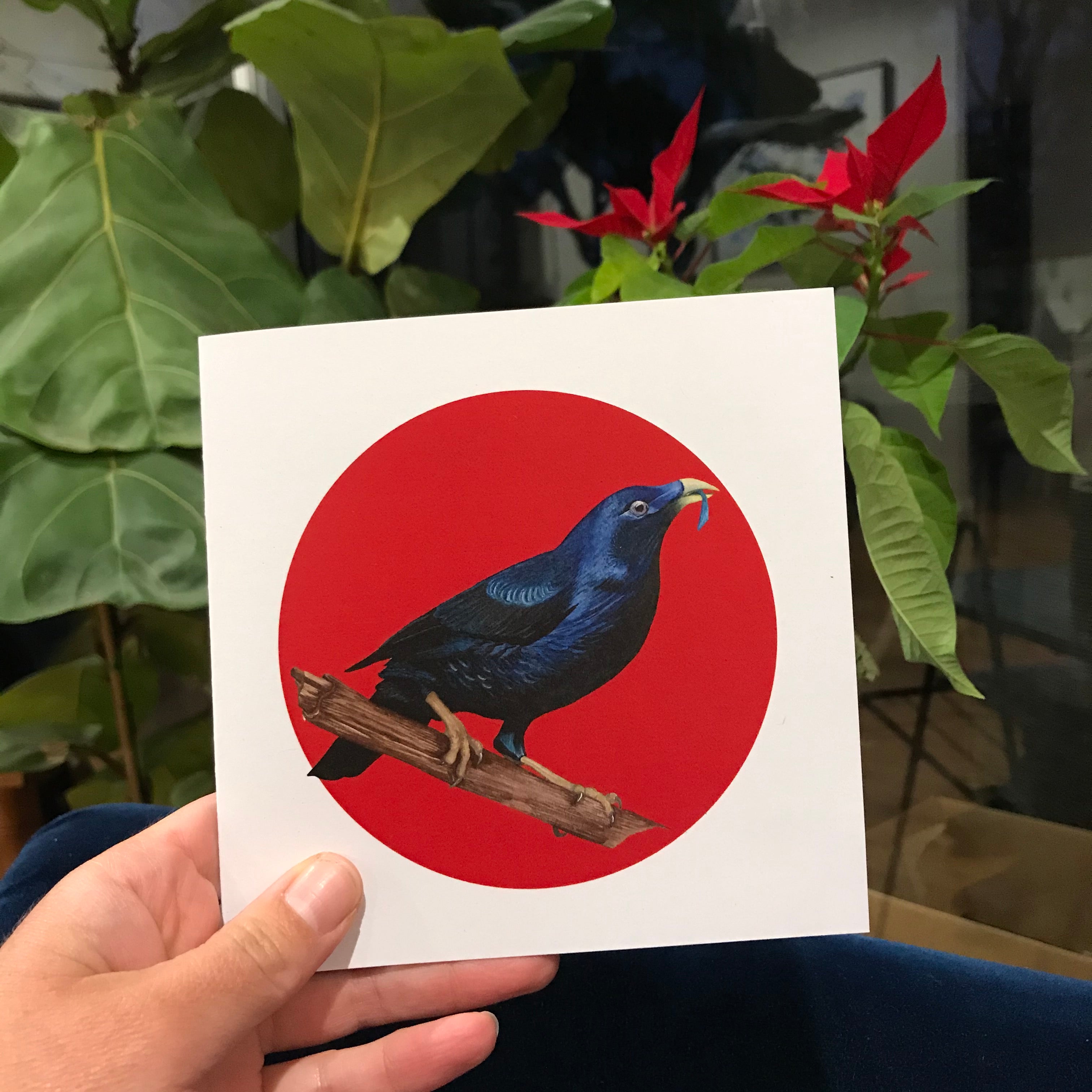 Australian Bird Greeting Cards