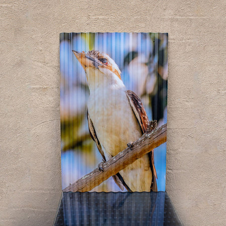 Outdoor Photographic Artwork - Corrugated Iron - Native Birds- Wall Art