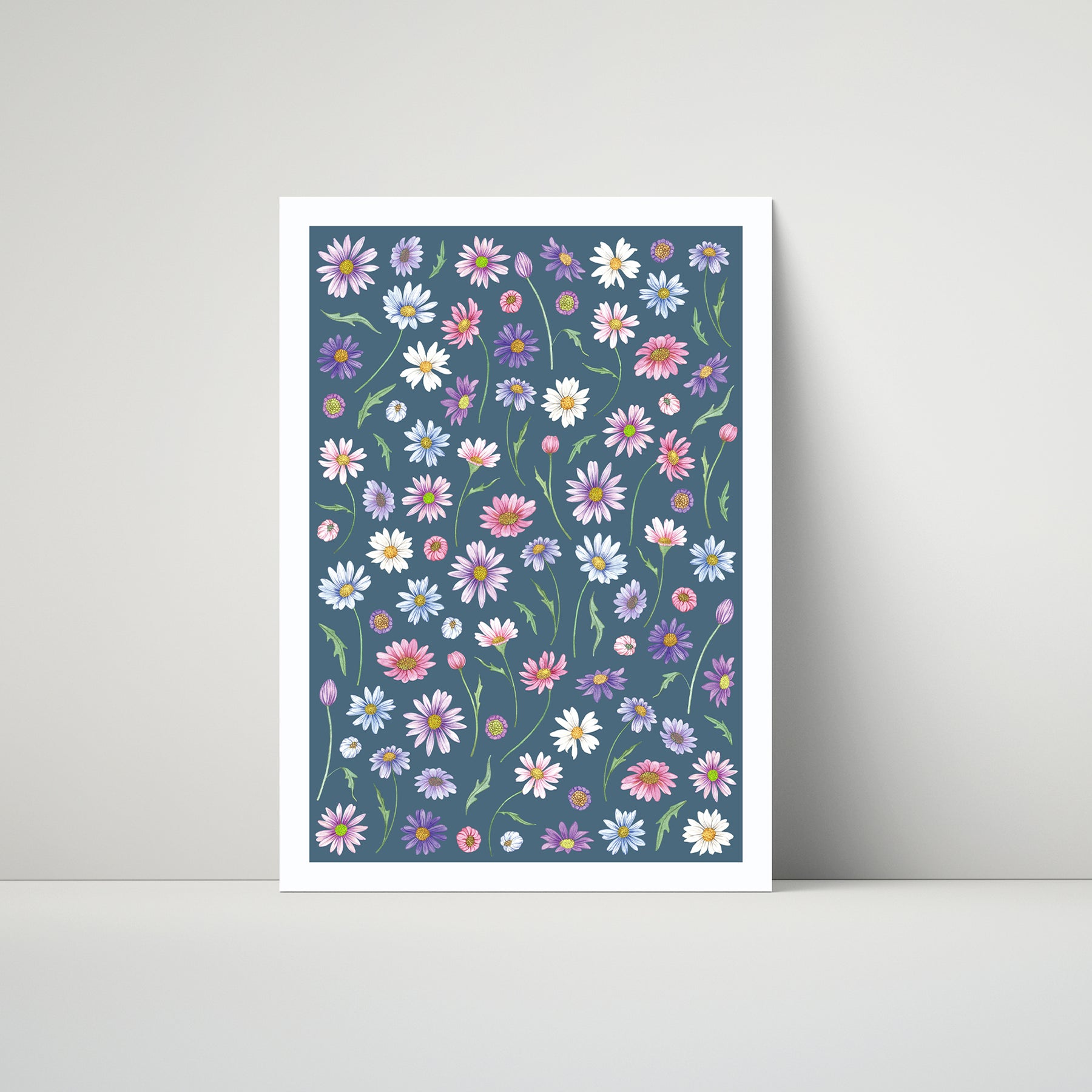 Australian Daisy Art Print