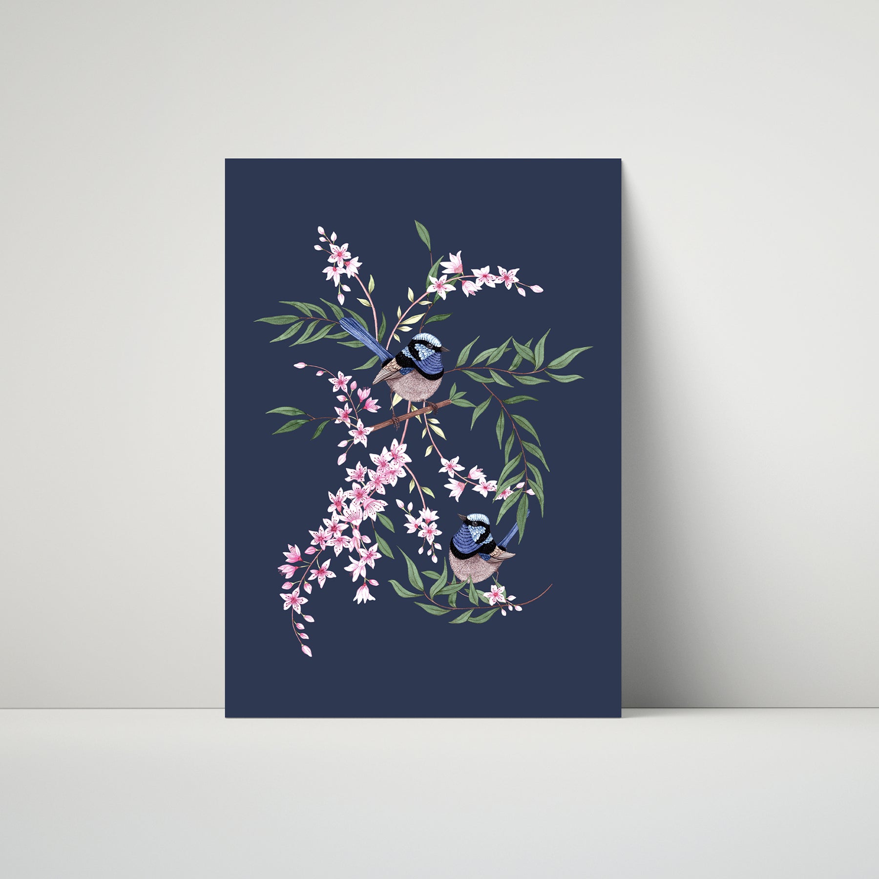 Superb Fairywren Art Print